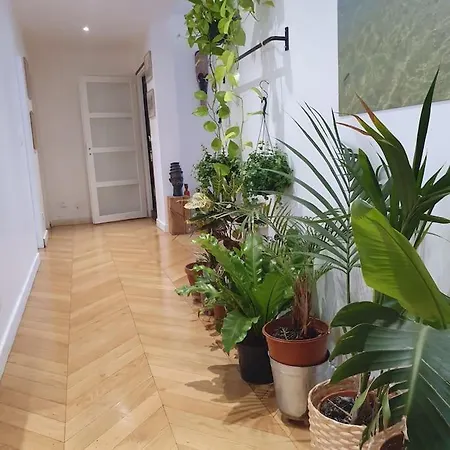 Magnifique Parisien Tres Bon Quartier Apartmán